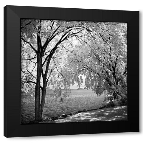 Hopewell Shores Square I Black Modern Wood Framed Art Print by Hausenflock, Alan