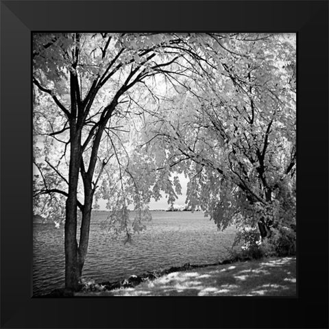 Hopewell Shores Square I Black Modern Wood Framed Art Print by Hausenflock, Alan