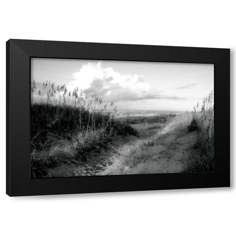 Dunes I Black Modern Wood Framed Art Print with Double Matting by Hausenflock, Alan