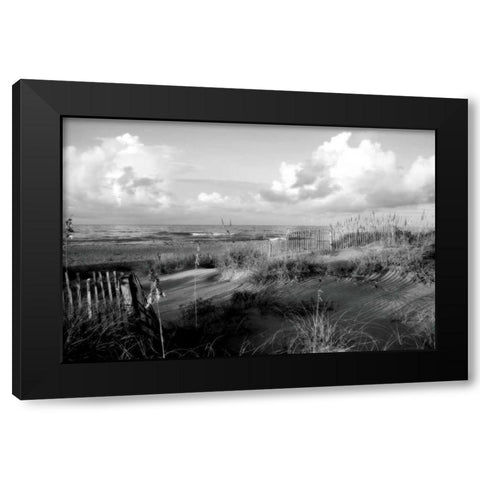 Dunes II Black Modern Wood Framed Art Print with Double Matting by Hausenflock, Alan