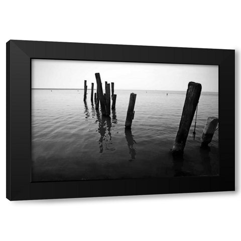 Pilings I Black Modern Wood Framed Art Print with Double Matting by Hausenflock, Alan