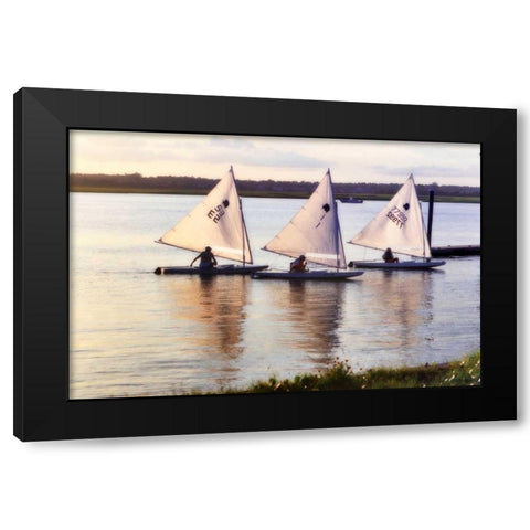 Three Sunfish I Black Modern Wood Framed Art Print with Double Matting by Hausenflock, Alan