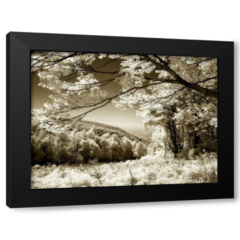 Swift Run Gap II Black Modern Wood Framed Art Print by Hausenflock, Alan