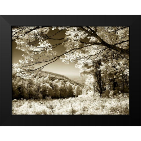 Swift Run Gap II Black Modern Wood Framed Art Print by Hausenflock, Alan