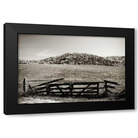 Autumn Pastures IV Black Modern Wood Framed Art Print by Hausenflock, Alan