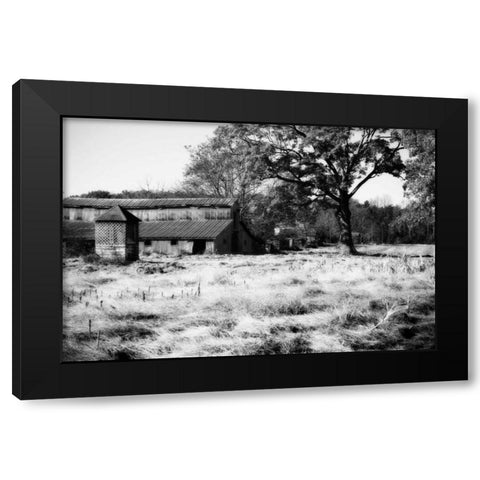 Fallow Fields II Black Modern Wood Framed Art Print with Double Matting by Hausenflock, Alan