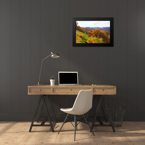 Sawmill Run Black Modern Wood Framed Art Print by Hausenflock, Alan