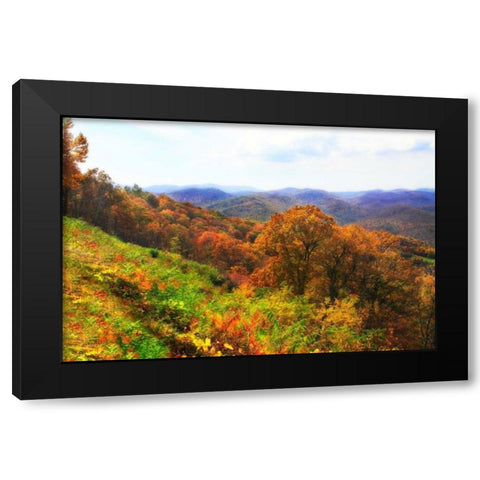 Sawmill Run Black Modern Wood Framed Art Print by Hausenflock, Alan
