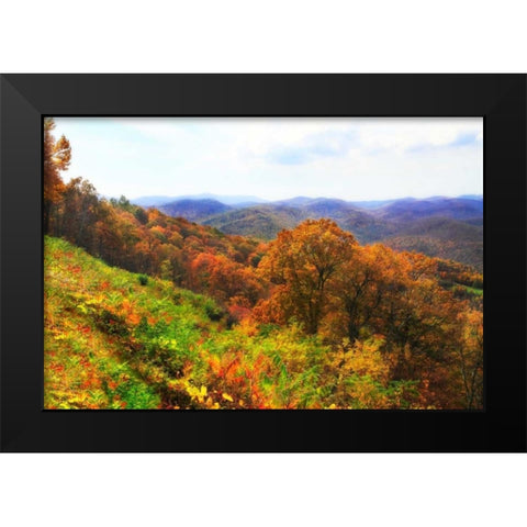 Sawmill Run Black Modern Wood Framed Art Print by Hausenflock, Alan