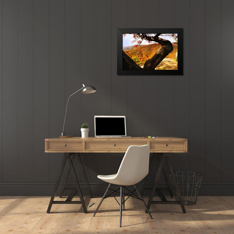 Wildcat Ridge I Black Modern Wood Framed Art Print by Hausenflock, Alan