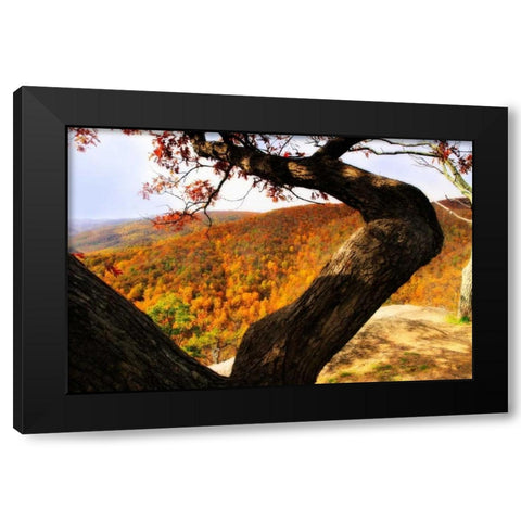 Wildcat Ridge I Black Modern Wood Framed Art Print by Hausenflock, Alan