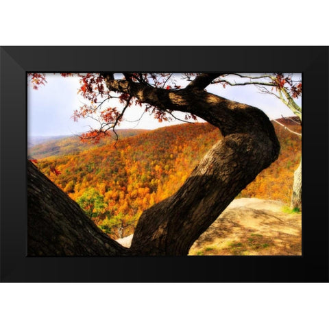 Wildcat Ridge I Black Modern Wood Framed Art Print by Hausenflock, Alan