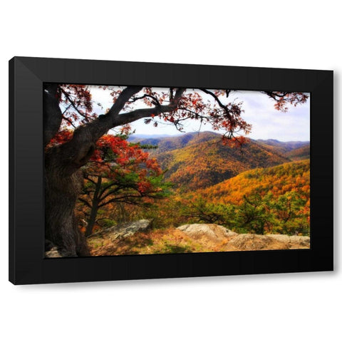 Wildcat Ridge III Black Modern Wood Framed Art Print with Double Matting by Hausenflock, Alan