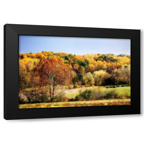 Sperryville Fields I Black Modern Wood Framed Art Print with Double Matting by Hausenflock, Alan