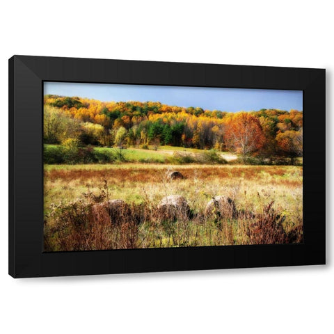 Sperryville Fields II Black Modern Wood Framed Art Print by Hausenflock, Alan