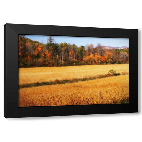Sperryville Fields III Black Modern Wood Framed Art Print with Double Matting by Hausenflock, Alan