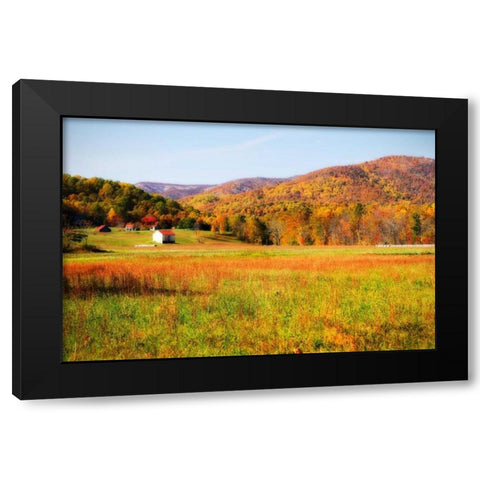 Autumn Fields I Black Modern Wood Framed Art Print with Double Matting by Hausenflock, Alan