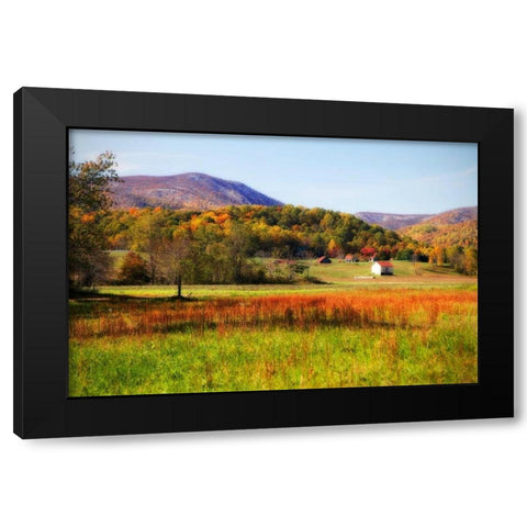 Autumn Fields II Black Modern Wood Framed Art Print with Double Matting by Hausenflock, Alan