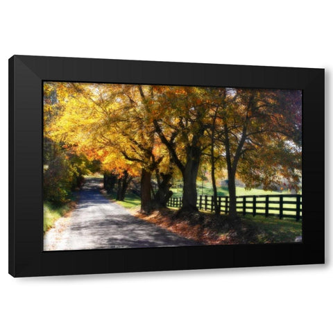Country Road I Black Modern Wood Framed Art Print with Double Matting by Hausenflock, Alan