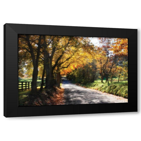 Country Road II Black Modern Wood Framed Art Print with Double Matting by Hausenflock, Alan