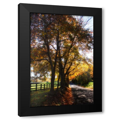 Country Road III Black Modern Wood Framed Art Print with Double Matting by Hausenflock, Alan