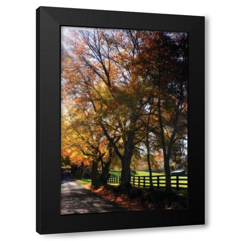 Country Road IV Black Modern Wood Framed Art Print by Hausenflock, Alan