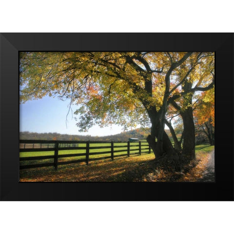Hillside Farm I Black Modern Wood Framed Art Print by Hausenflock, Alan