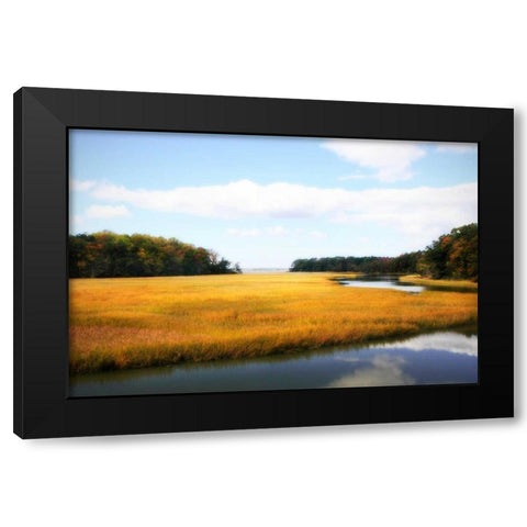 Kings Creek I Black Modern Wood Framed Art Print with Double Matting by Hausenflock, Alan