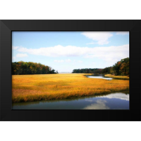 Kings Creek I Black Modern Wood Framed Art Print by Hausenflock, Alan