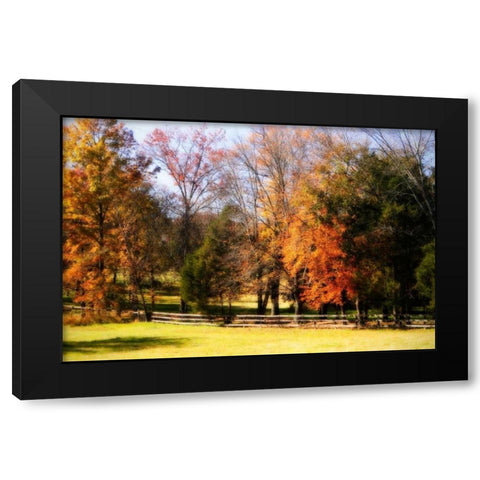 Keswick Pasture II Black Modern Wood Framed Art Print with Double Matting by Hausenflock, Alan