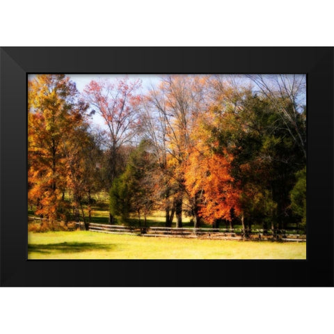 Keswick Pasture II Black Modern Wood Framed Art Print by Hausenflock, Alan