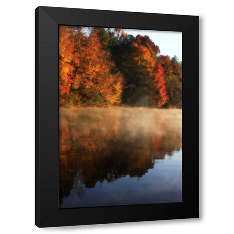 Autumn Mist I Black Modern Wood Framed Art Print by Hausenflock, Alan