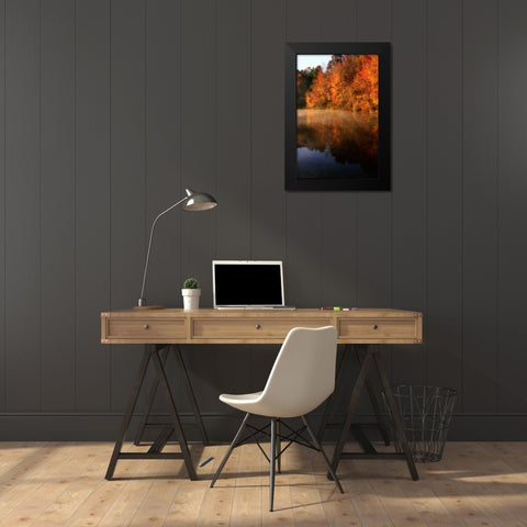 Autumn Mist II Black Modern Wood Framed Art Print by Hausenflock, Alan