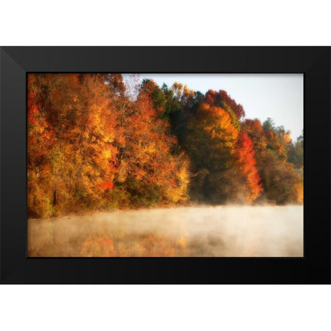 Autumn Mist III Black Modern Wood Framed Art Print by Hausenflock, Alan