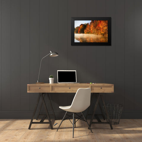 Autumn Mist IV Black Modern Wood Framed Art Print by Hausenflock, Alan