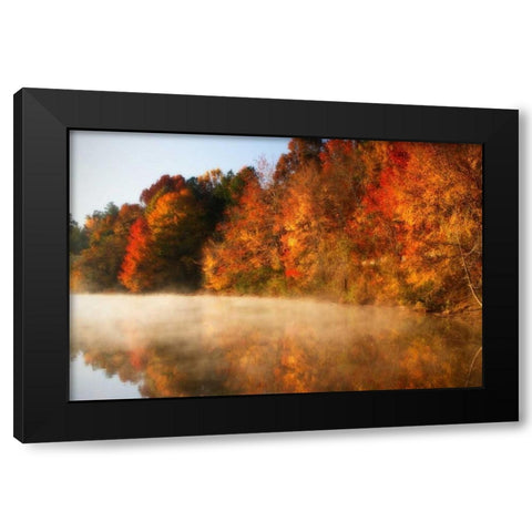 Autumn Mist IV Black Modern Wood Framed Art Print with Double Matting by Hausenflock, Alan