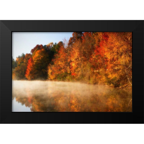 Autumn Mist IV Black Modern Wood Framed Art Print by Hausenflock, Alan