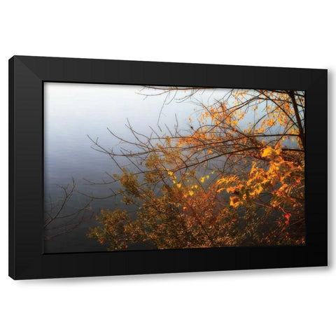 Leaves of Orange II Black Modern Wood Framed Art Print with Double Matting by Hausenflock, Alan