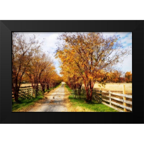 Glen Allen Farm III Black Modern Wood Framed Art Print by Hausenflock, Alan