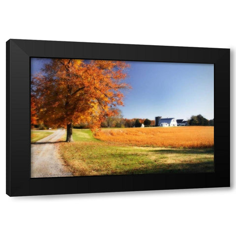 Family Farm I Black Modern Wood Framed Art Print by Hausenflock, Alan