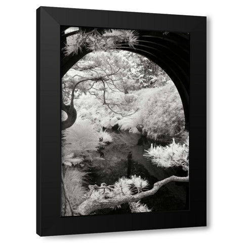 San Francisco Garden IV Black Modern Wood Framed Art Print by Johnson, George