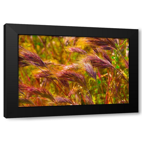 Colorful Brush Black Modern Wood Framed Art Print with Double Matting by Johnson, George