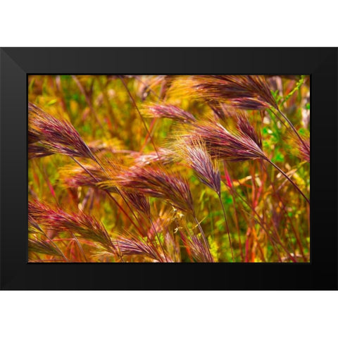 Colorful Brush Black Modern Wood Framed Art Print by Johnson, George