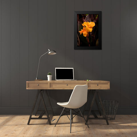 Orange Flower I Black Modern Wood Framed Art Print by Johnson, George