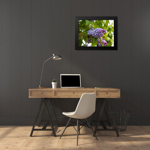 Karens Lilac Black Modern Wood Framed Art Print by Johnson, George