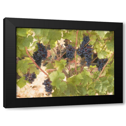 Low Hanging Fruit Black Modern Wood Framed Art Print with Double Matting by Johnson, George