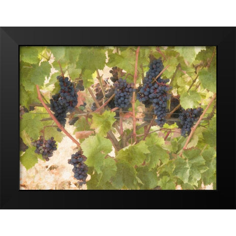 Low Hanging Fruit Black Modern Wood Framed Art Print by Johnson, George