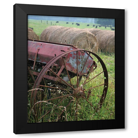 Sewing Seeds I Black Modern Wood Framed Art Print with Double Matting by Larson, Scott