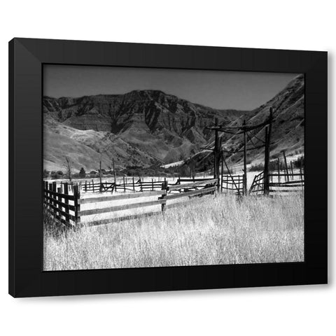 Summer Corral I Black Modern Wood Framed Art Print with Double Matting by Larson, Scott
