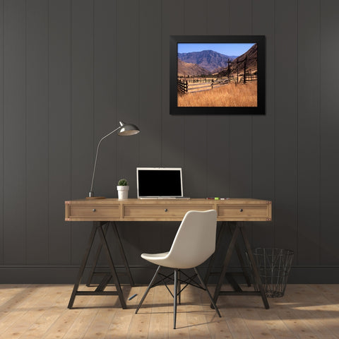Summer Corral II Black Modern Wood Framed Art Print by Larson, Scott